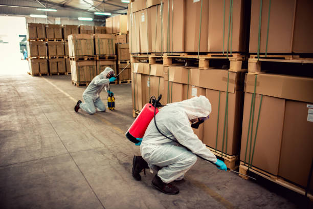Best Wasp Removal Services  in Sicklerville, NJ
