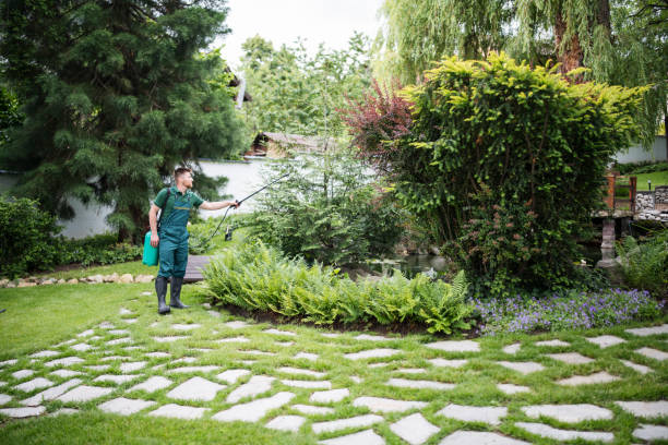 Best Commercial Pest Control Services  in Sicklerville, NJ