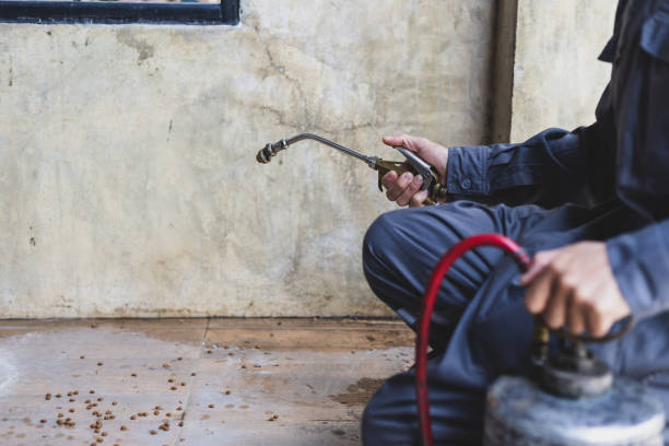 Best Local Pest Control Services  in Sicklerville, NJ